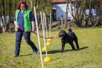 Hundeschule Marion Hartmann, Junghunde Training